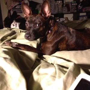 Meet your Posher, Paula